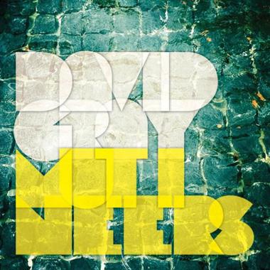 David Gray -  Mutineers